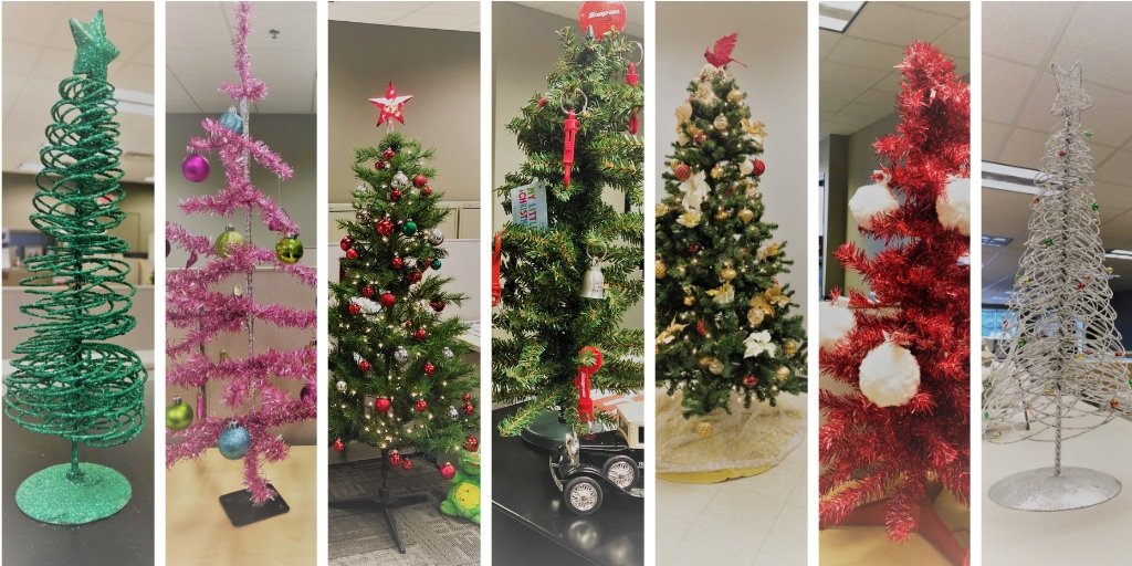 How many trees are too many? We say that there is no such thing!  #WildChristmas #WildImpact #HappyHolidays #WildWednesday