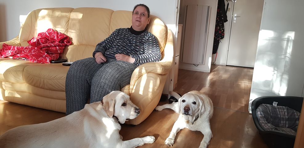 Chiens Guides IDF tweet media