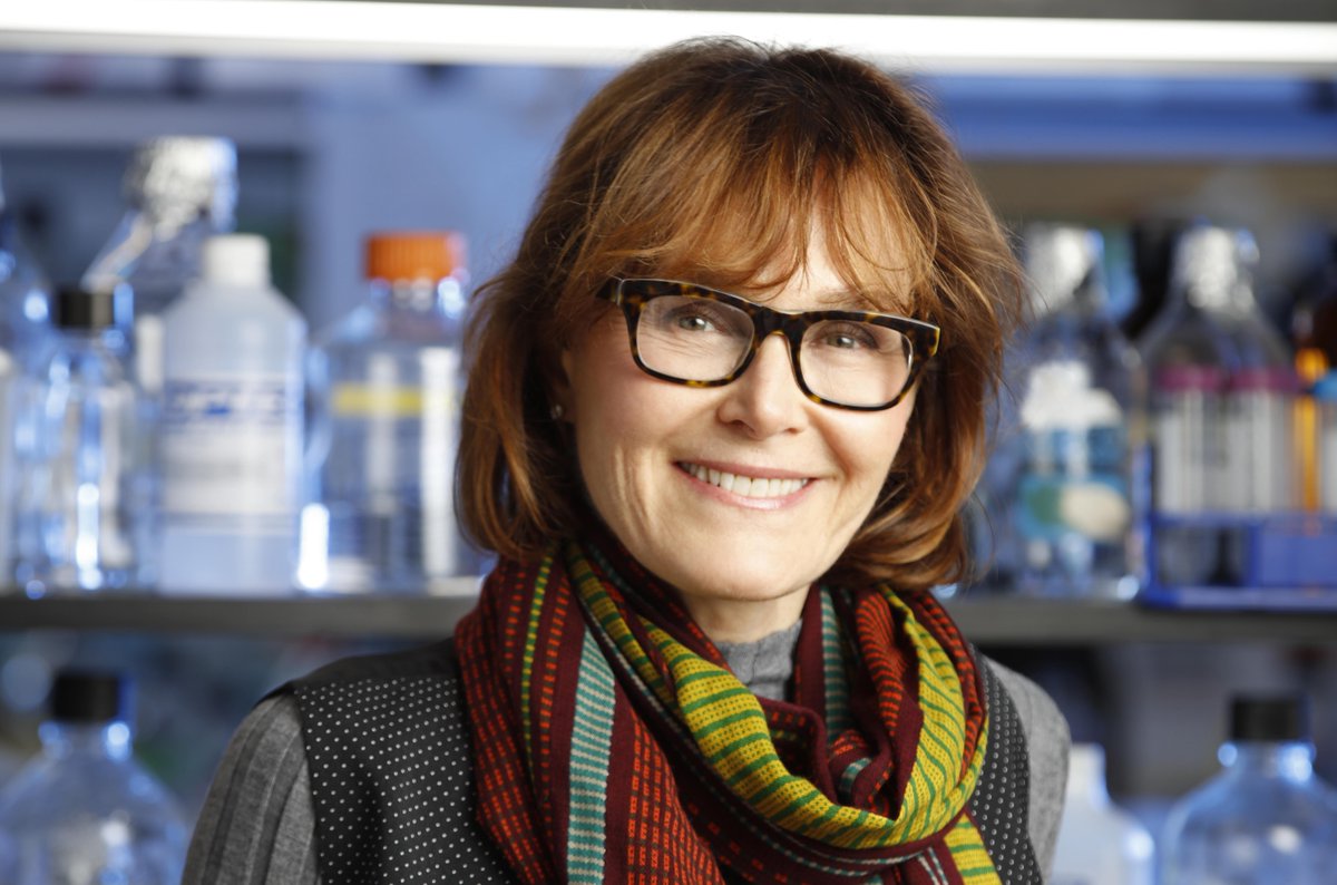 UWBiochem's tweet photo. Biochem Ph.D. @WisAlumni Lynne Maquat, now at @UofR @UR_Med, says she started out shy but today is a force in #RNA research and mentoring #womeninscience. Read more in our profile!
https://t.co/lGEEelWfPP @ASBMB https://t.co/K0QXcfrQFM