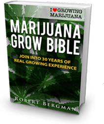 natalthealth's tweet photo. Grow your own Medical Marijuana CBD OIL
https://t.co/uuY5ic67ZC https://t.co/8arhtEB46L