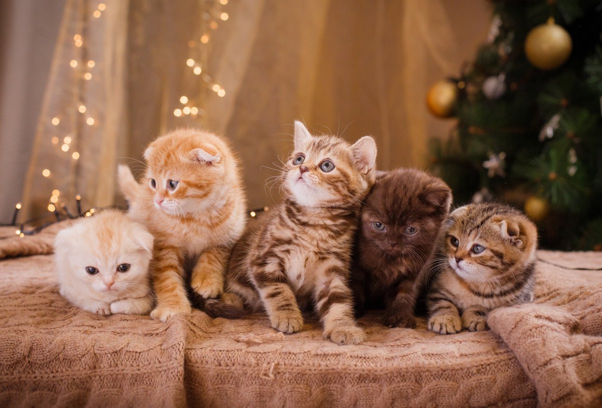 ♡♡♡🧡♡♡♡