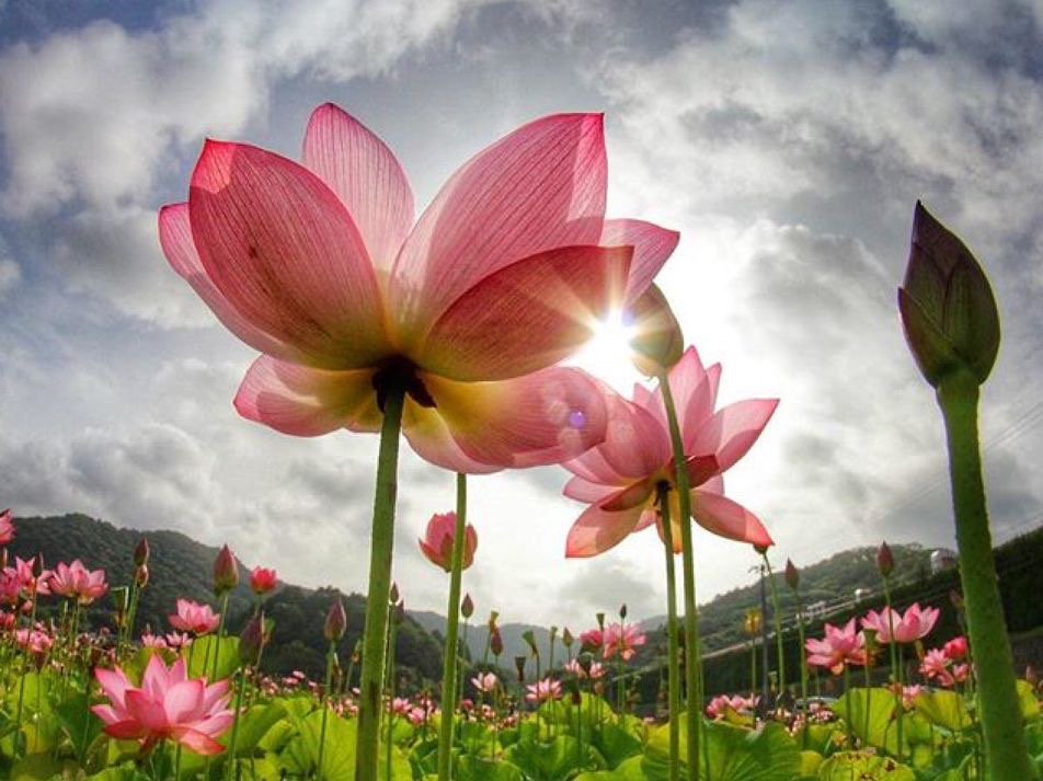 Relax.
You are enough.
You do enough.
Breathe extra deep, let go,
And just live right now in the moment.