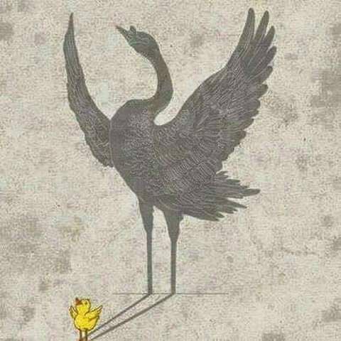 bn_shaman's tweet photo. لاتثق في شخص لمجرد ان أعجبك حديثه فالحياة اصبحت مظاهر ..

فبعض الأشخاص ظله أكبر من حجمه الطبيعي https://t.co/yLkMEaack9