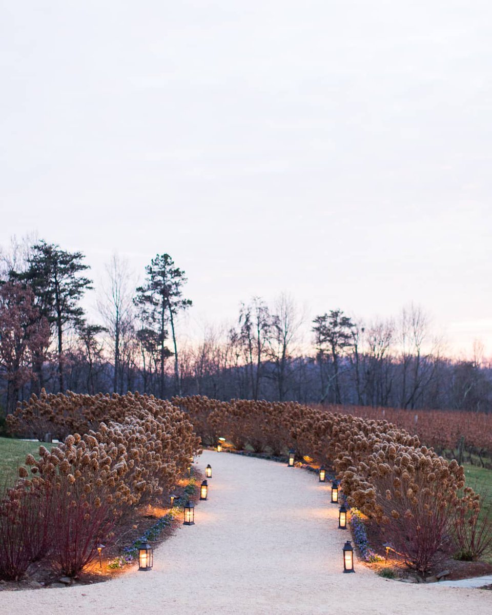 December magic✨
📷: <a href="/erickelley/">Eric Kelley</a>