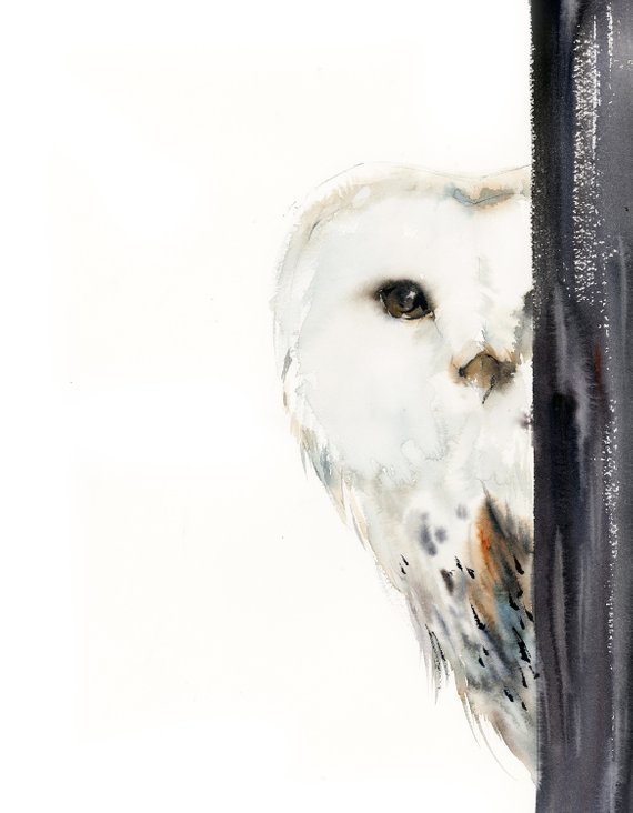Barn Owl painting, Original watercolor painting, bird art, white owl modern painting art #BarnOwlArt #BarnOwlPainting 
$520.00
➤ goo.gl/sz4vbC