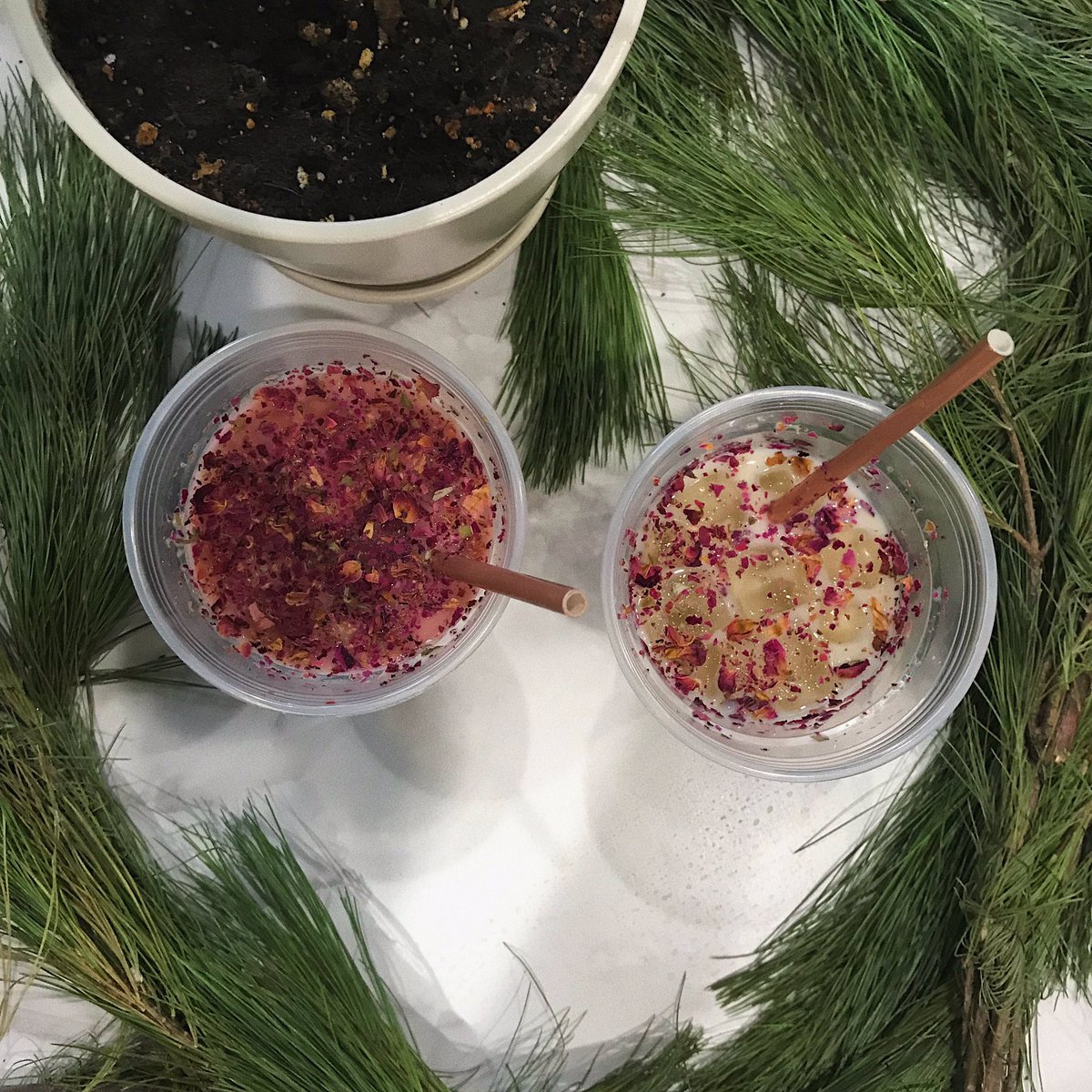 alix 🌟 tweet media