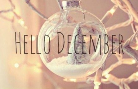 TuincentrumB's tweet photo. December: de meest romantische maand van het jaar en een vrij rustige maand in de tuin. https://t.co/CqNvUxjkxR
