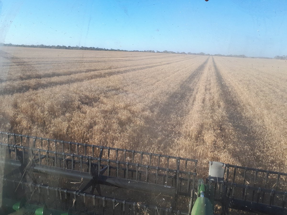 Alex Grove tweet media