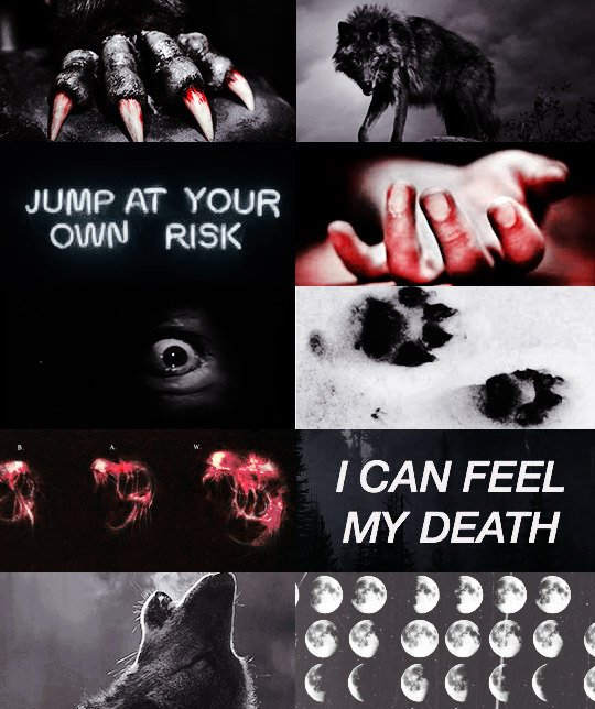❨ William Thomas Hale ❩

     🐾 Werewolf

Alpha™

🌓 I can feel my Death 🌘

| Aus/ Tramas...|

#TeenWolfOc #FreeRol 
🔁?