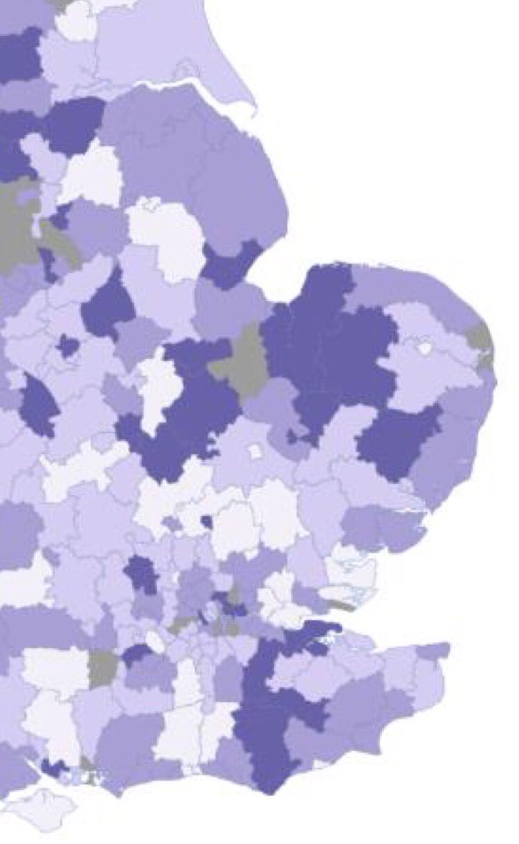 Friends of THYSF tweet media