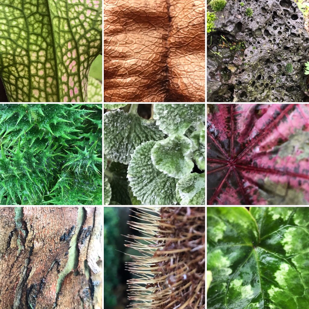 LizAtkin's tweet photo. I ran a texture gathering & #compulsivecharcoal workshop for students from Humanities Philosophy and Law course @imperialcollege this morning @ChelsPhysicGdn scrutinising the skins of the beautiful garden #HPLskin #MentalHealth #artforwellbeing #skinpicking
#charcoal https://t.co/adnGYQRY7k