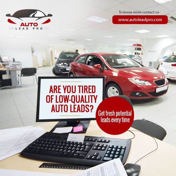 AutoLeadProUS's tweet photo. Are you tired of low-quality auto leads? Auto Lead Pro is offering exclusive, live-transferred special finance leads to dealerships. Increase your closing ratio! 

To know more please visit - https://t.co/CaeBGdFton
#AutoLeadPro #LeadProviders #LeadGeneration #Automotive https://t.co/OAV7bjwTLF