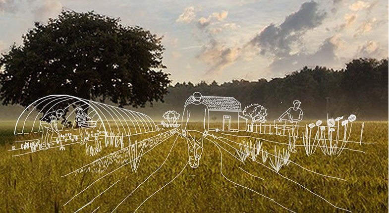 AuxiliaConseil's tweet photo. Envie d’accompagner la #transition agricole et alimentaire des #territoires ? Rejoignez Auxilia et son équipe déterminée à faire bouger les lignes ! https://t.co/Ey5GTwxqIy
#EmploiLyon #TransitionEcologique #EmploiESS https://t.co/PjGYc6c4Yp