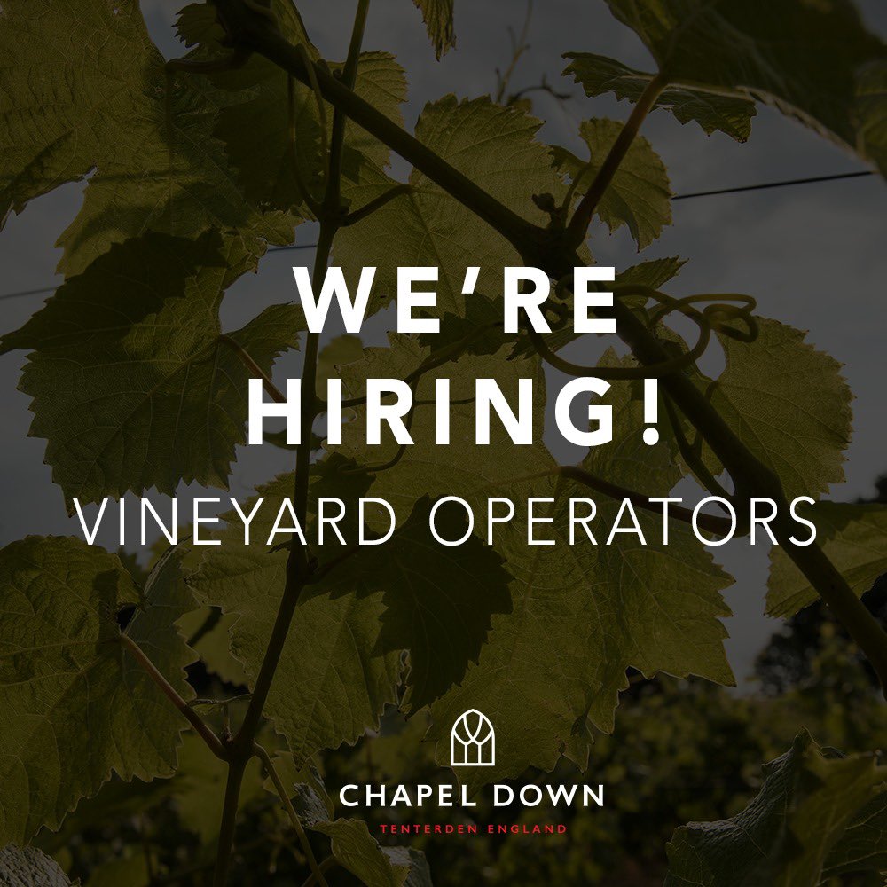 We’re on the hunt for vineyard operators to join our team in Kent! If this sounds like you click here chapeldown.com/careers for more details!
—-
#careers #newjob #newyearnewyou #chapeldown #jobs #vineyard #wine