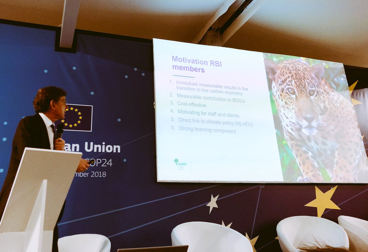 REDDBusiness's tweet photo. Companies join our initiative for many reasons: to address carbon emissions, the #SDGs and motivate staff and clients. #ForestDay #COP24 https://t.co/fcL60UqGw5