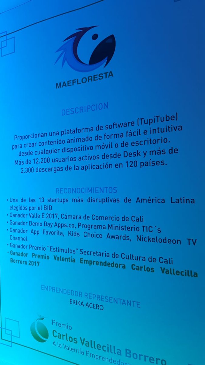 MaeFloresta tweet media