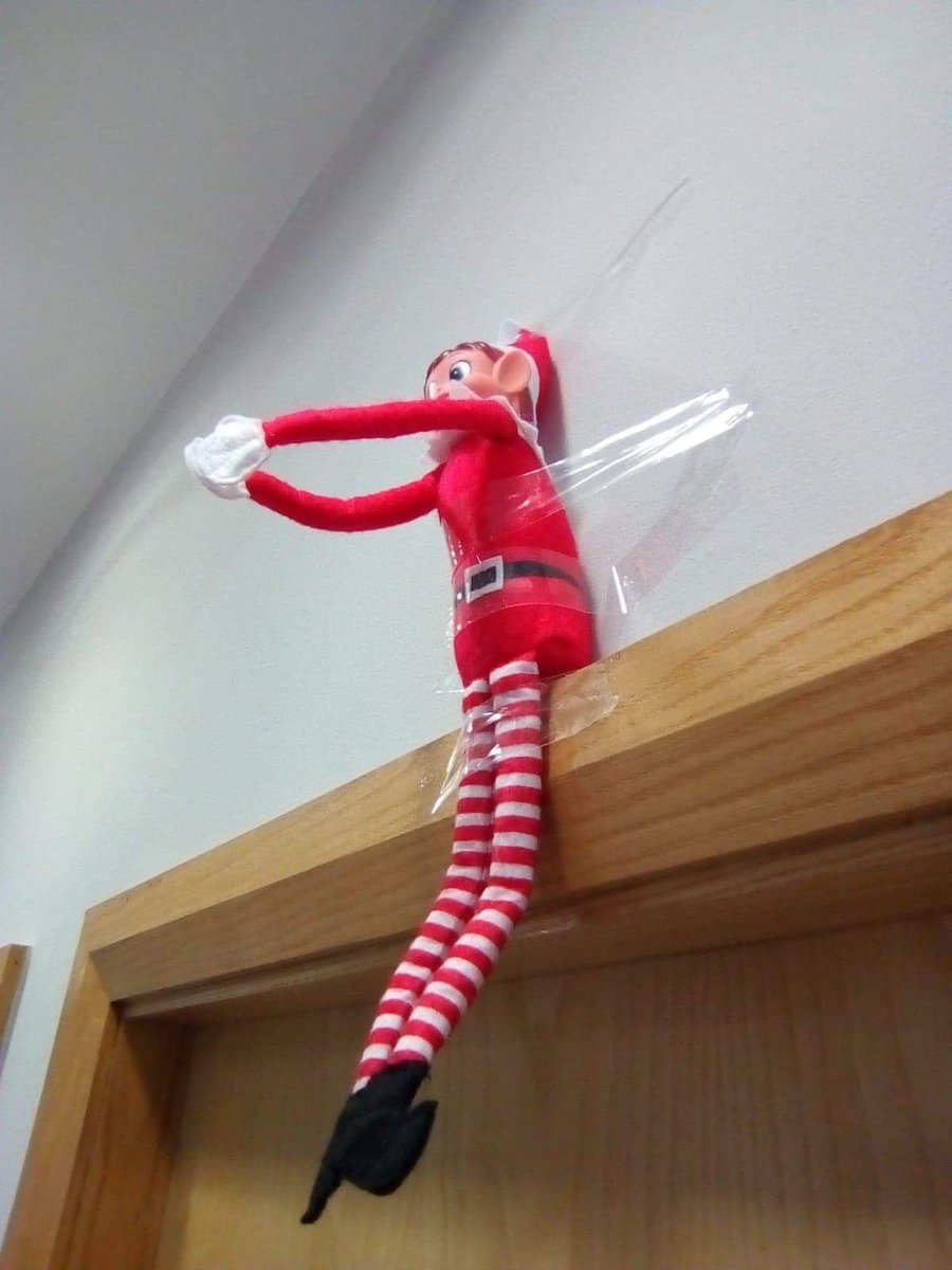 OmniaOffices's tweet photo. What are you doing up there #Festivefred? #elfontheshelf2018 #sheffieldissuper https://t.co/1gh0ERwPSj