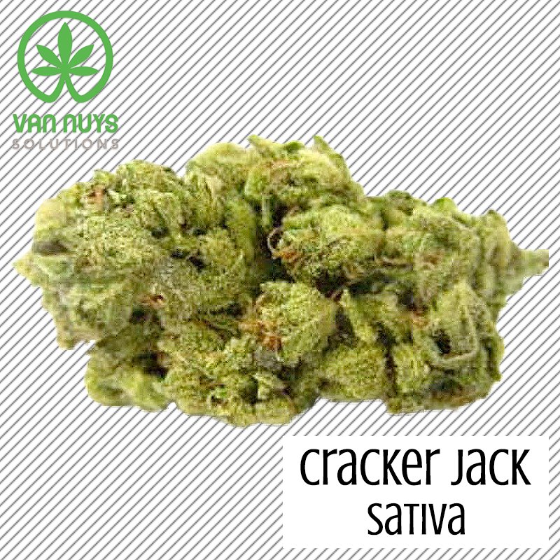 VanNuys25Cap's tweet photo. Find the sativa surprise when break into this Cracker Jack strain.
••••••••••••••••••••••
Follow Van Nuys Solutions for more 📲
••••••••••••••••••••••
#VanNuysSolutions #CrackerJack #Sativa https://t.co/hTy83Ah2Ld