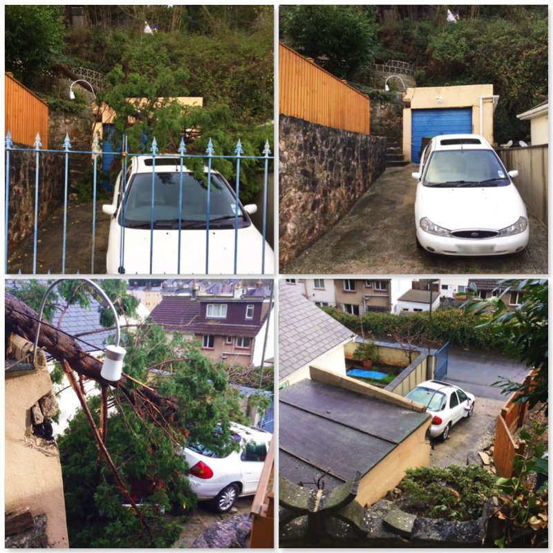 teigntrees's tweet photo. This time last week we were clearing up after #StormDiana here are a few images sent in by our fabulous #treecrews who worked really hard to get everything cleared. Well done boys. #teigntrees #alwaysoncall #winter #storm #emergencycallout #arborist #treesurgeons https://t.co/IIoQuz0l2g