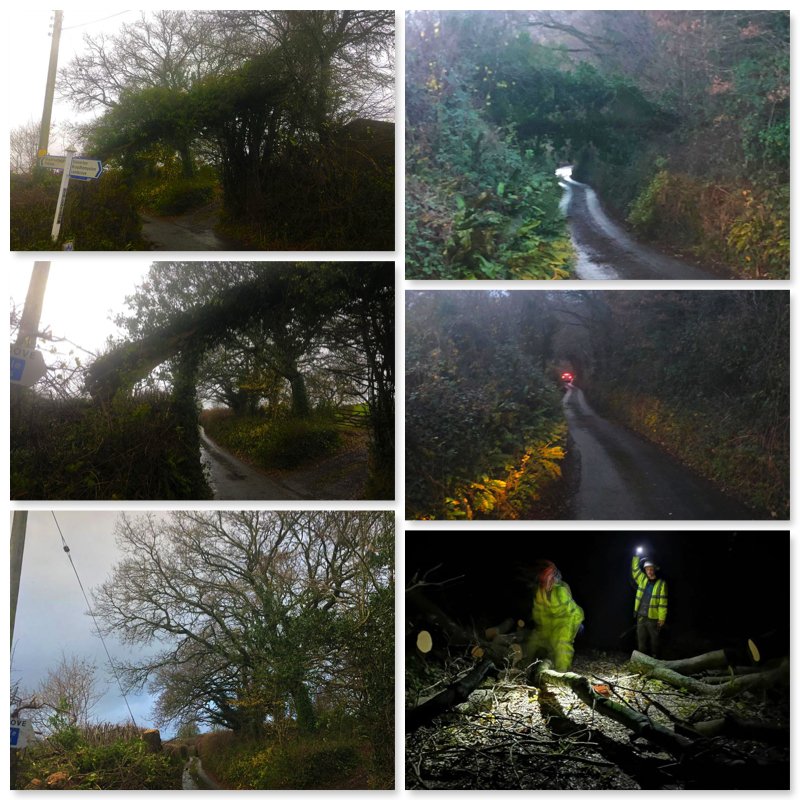 teigntrees's tweet photo. This time last week we were clearing up after #StormDiana here are a few images sent in by our fabulous #treecrews who worked really hard to get everything cleared. Well done boys. #teigntrees #alwaysoncall #winter #storm #emergencycallout #arborist #treesurgeons https://t.co/IIoQuz0l2g