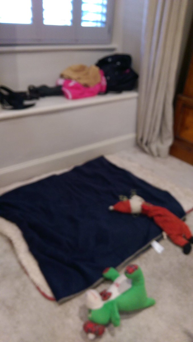 FurbabyPrince's tweet photo. Furpals look I'm staying at #RickSteins its my humons Anniversary so they have come to🌲🎅 #padstowchristmasfestival and look that's me checking out the morsals and my bed has the new #Chalkies pal's blue blanket. 😘🐕 https://t.co/Su6eaKCJq2