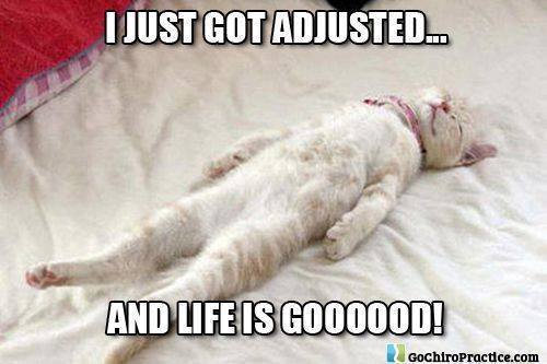 DavidSpitzDC's tweet photo. Happy Friday! :) #chiropractic #humor #FridayFeeling https://t.co/EU4XXGriJN