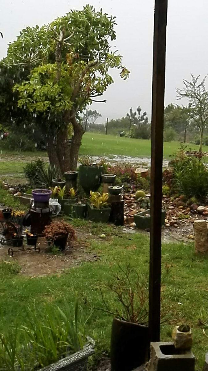 ReenvalSA's tweet photo. Reën nou lekker hard hier in #Grootbrak rivier 📷: Barend Beukes @eNCAWeather @SAWeatherServic @sawx_sa_weather @AfricaWeather_ @Netwerk24 @venter_annette @debeer_anika @JoelGuy_ https://t.co/gv23C0UxWa