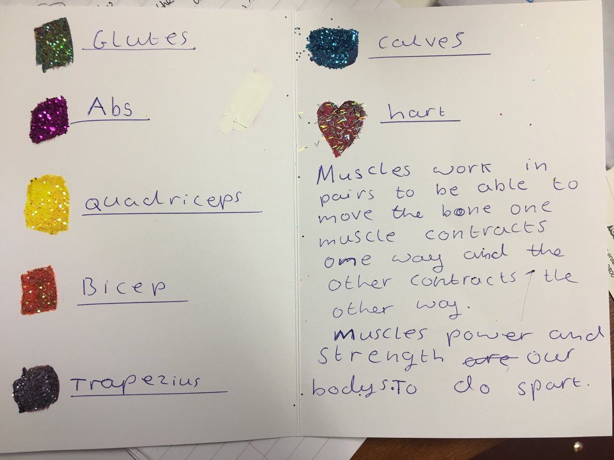 HeadofYrPE's tweet photo. Awesome homework from Courtney today! #pehomework #muscles #starwork π
πππ»βοΈ https://t.co/2KqA596U6M