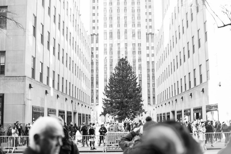 MyVacationHist's tweet photo. Traveling to The Big Apple? Check out these Rockefeller Center fun facts &amp; get the inside scoop before you hit the town:
https://t.co/JHpXa66Gjz
#NYC #RockefellerCenter #NYCWinter #TravelTips https://t.co/gslulbDx17