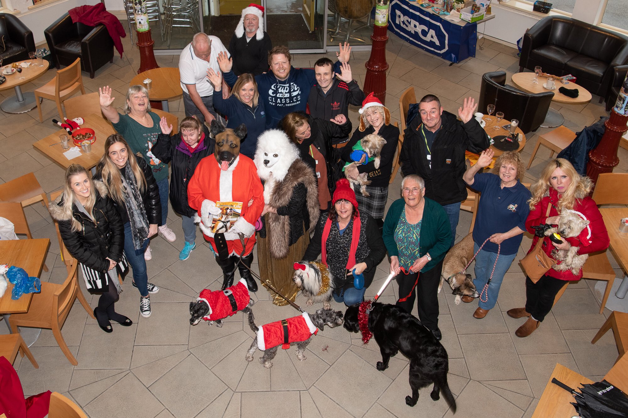 Do You Need A Licence To Look After Dogs