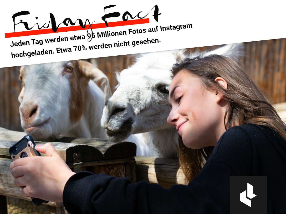 digitalwunderio's tweet photo. #fridayfact
Jeden Tag werden etwa 95 Millionen #Fotos auf #Instagram hochgeladen. Etwa 70% davon werden überhaupt nicht gesehen. Aber, die eigentliche Frage ist doch: Wie viele von diesen 95 Millionen Fotos sind #Selfies mit #Ziegen, #Lamas oder #Alpakas? https://t.co/q2kJxD2SEE