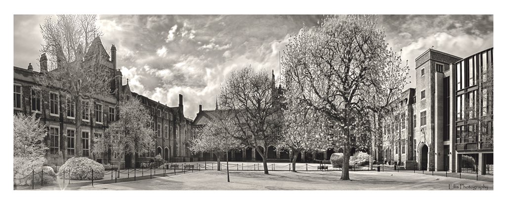 wesdockabcc's tweet photo. @QUBelfast @QUBFoodProf @QUBLibrary @medievalqub @QUBSU @qub https://t.co/RyR7dKoXkg