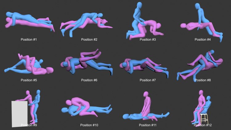 Questionnaire evaluating different sexual positions during intercourse.