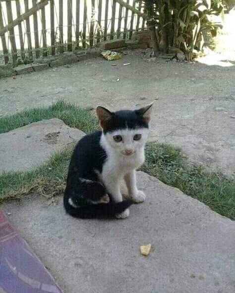 Raffa ♠♣ tweet media