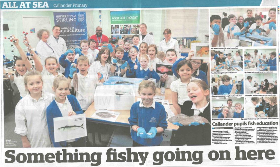 blippingbird's tweet photo. Thank you @StirUni for supporting #scotfoodedu with the amazing #fishmasterclass at #Callander Primary. #FoodforThought @BITCScotland @StirObserver #foodeducation #goodfoodnation @SeafoodFromScot @scotfoodjames https://t.co/nCE8xxHb16