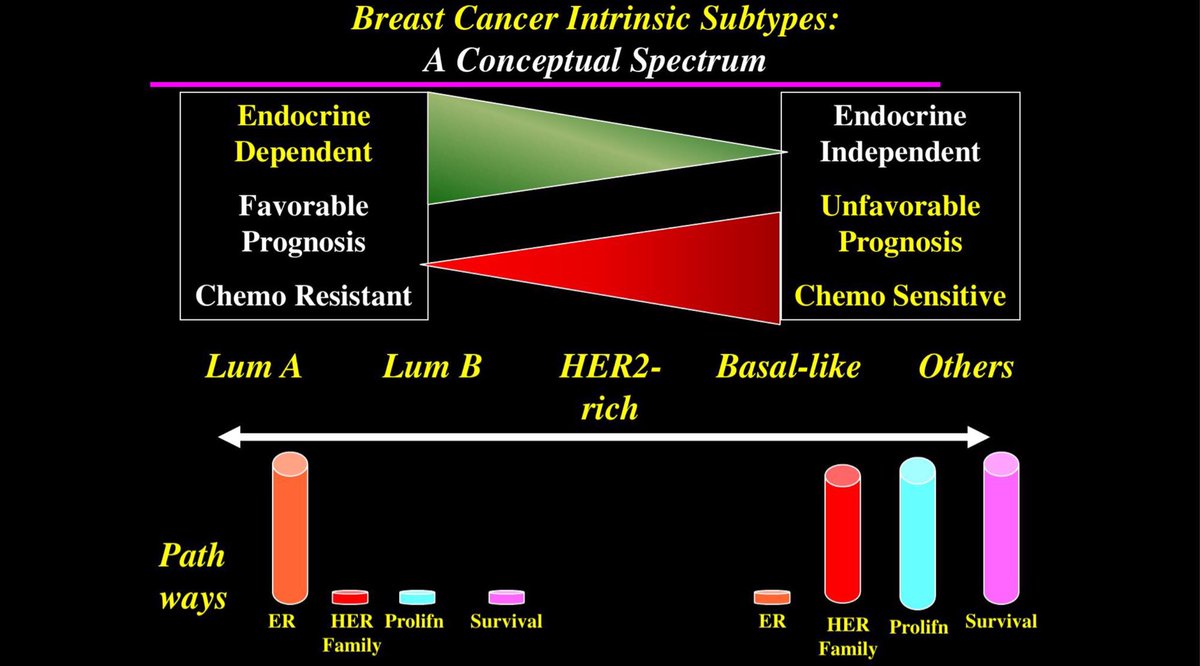 Great pictorial of breast cancer spectrum from Endocrine dependent to independent and relationship to intrinsic subtypes by @hoosierdfh #SABCS18