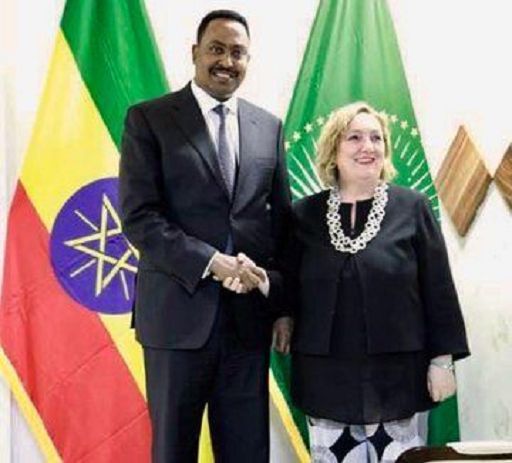 cooperazione_it's tweet photo. 🇮🇹🇪🇹During her official visit, VM Foreign Affairs @ecdelre announces €1M in humanitarian aid in #ethiopia. Through @ICRC, cooperazioneItaliana will provide local population with medicines, sanitary facilities, seeds &amp; agriculture equipment for IDPs in Gedeo &amp; Oromia area. https://t.co/AHeRnHdwIC