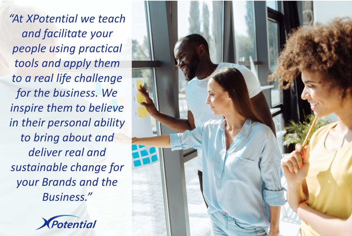 XPotential tweet media