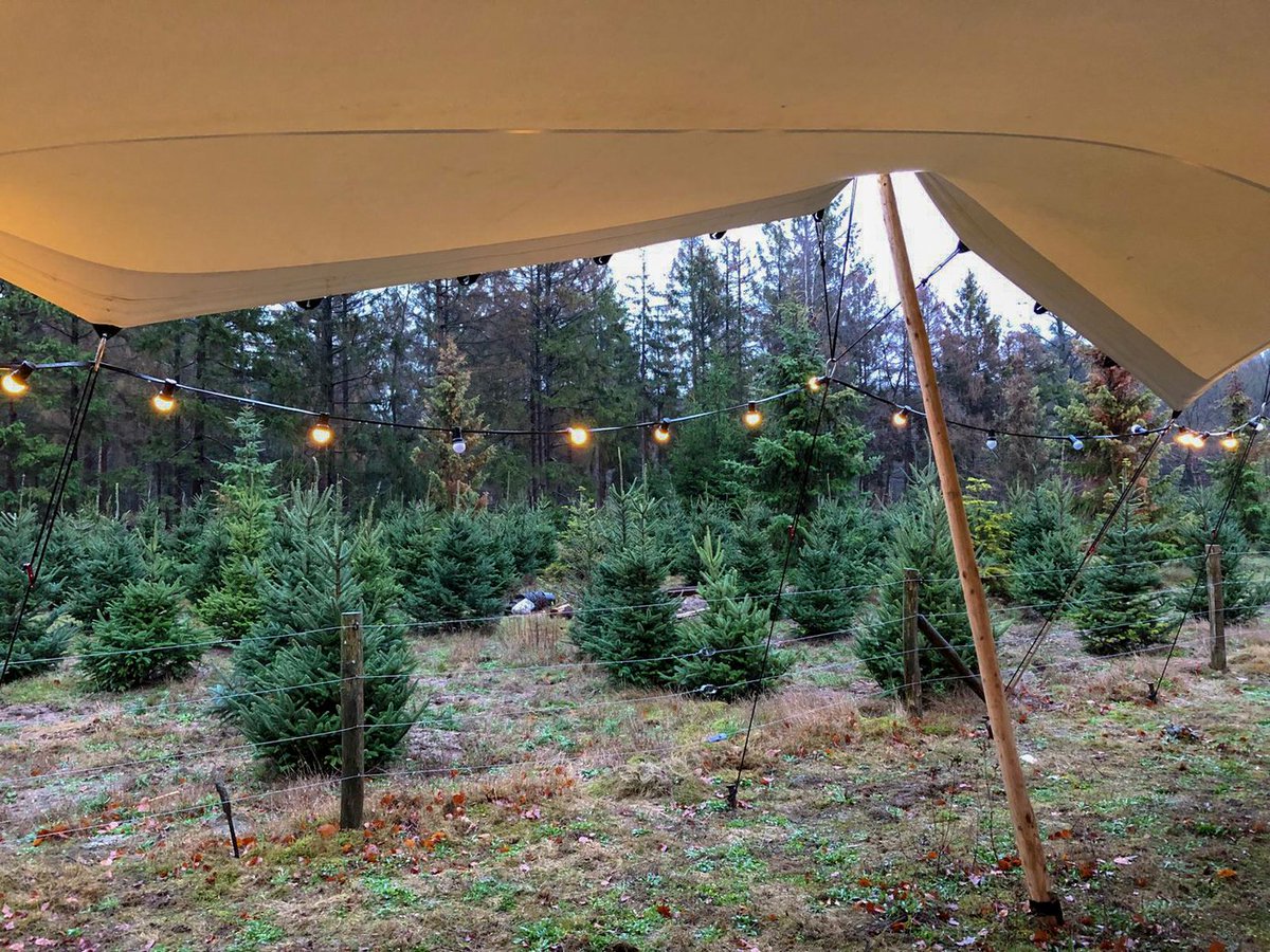 Infraflex's tweet image. De kerstbomen staan klaar voor onze traditie: de jaarlijkse Kerstbomendag!