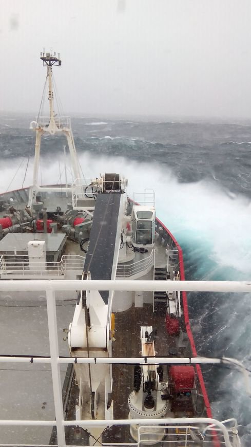SAERI_FI's tweet photo. A rough day at the office. Today we'll reach King George Island after what I would describe as very successful work on the #burdwoodbank for the #marinemanagementareas. @Darwin_Defra @FalklandsGov @ICEBERGS_JCR https://t.co/80zFimBSQx