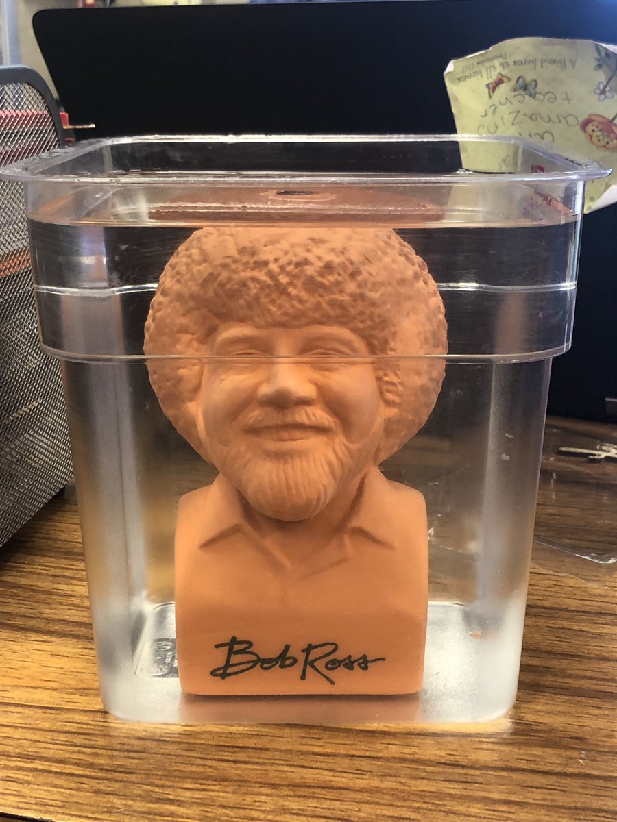 jbenjami1's tweet photo. Meet @jbenjami1 class mascot. ChiaBobRoss! #takingchiasbyredstorm https://t.co/ChVlUAfFDl