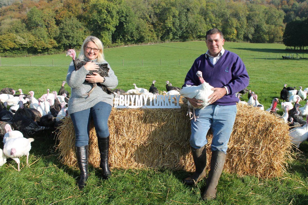Here are Alexandra and Simon <a href="/ashfordfarm7/">Ashford Farm Turkeys</a> reminding you the countdown to #Christmas has begun and it's time to #buymyturkey #backBritishfarming