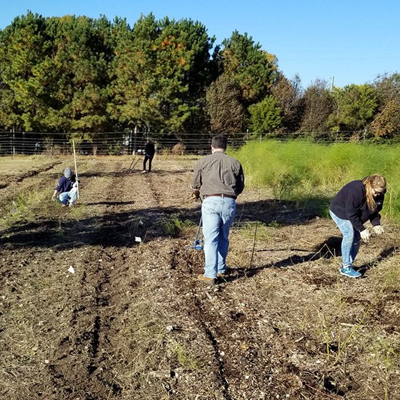 SOLVenergyteam's tweet photo. Today is the last day of Swinerton's #FallGiving campaign and the most successful ever for SRE & SOLV. Check out some photos of our teams in action over the past month. #SREcares https://t.co/ZwvVzNYoRd