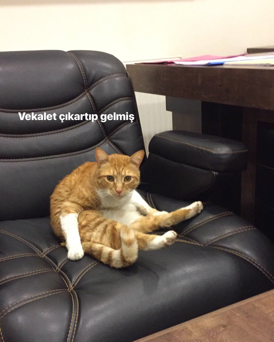 Masaya bir iki bisküvi bırakıp git dedi