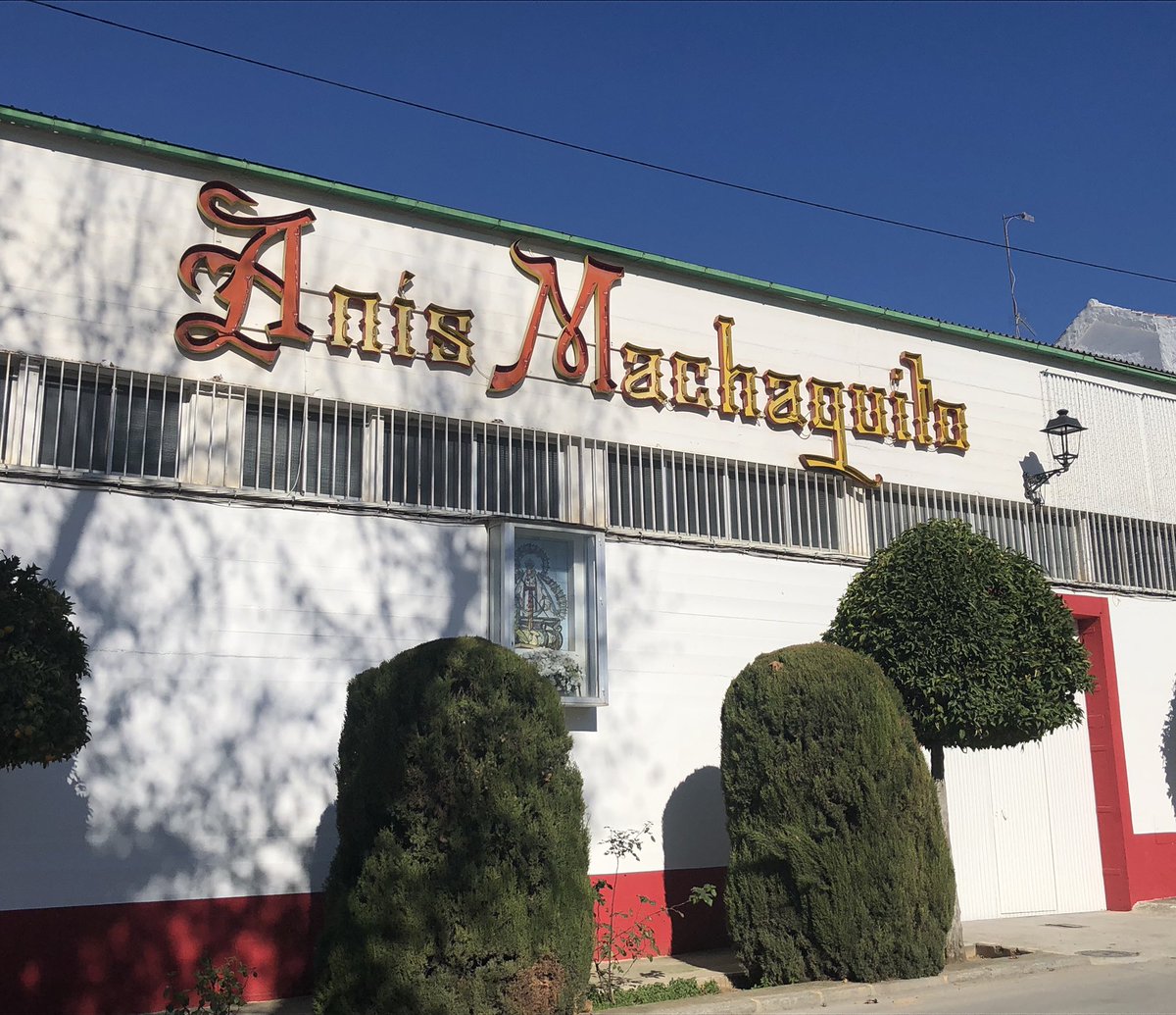 MariSol CS tweet media