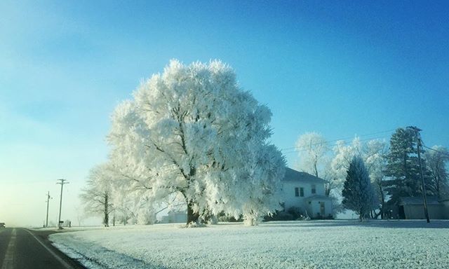 shirley319's tweet photo. Morning Glitterati #hoarfrost #rime #winterwonderland #betterinreallife https://t.co/1Zw6dmJ1tA https://t.co/Q2a470XB8t