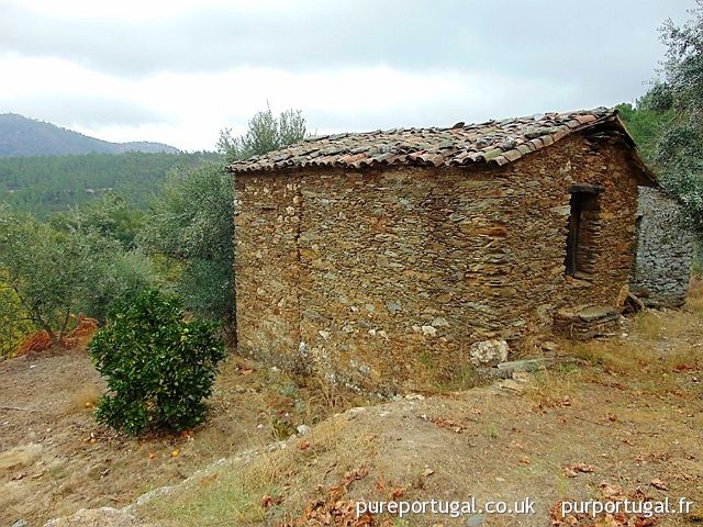 PurPortugal's tweet photo. CASE25-4: Ruina do Olival https://t.co/XrPtaOoD0W Ruine de 48m2 dans un coin calme. 2,250 m2  de terrain avec oliviers #projetrenovation #immobilier #Oleiros #Portugal https://t.co/7nG6vqfdvS