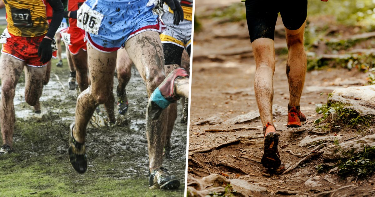 Running_Club's tweet photo. Un possible retour du #crosscountry ou l'apparition du #trail aux #JO2024 de Paris ! 🤔

On vous en dit plus 👉 https://t.co/kRPCpaBTY0 https://t.co/W5pgkipPTJ