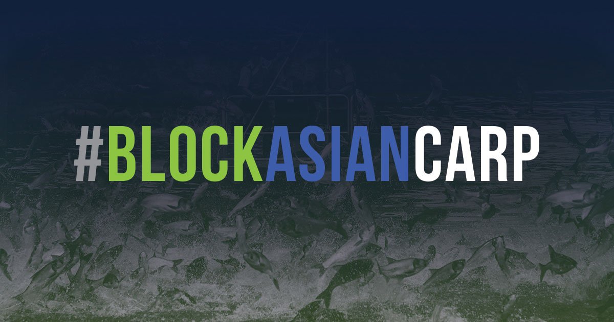 blockasiancarp's tweet photo. Weighing up to 90 pounds and able to jump from the water, Asian carp pose a serious hazard to boaters. Keep them out of the Great Lakes so we can continue to enjoy our lakes.
https://t.co/cuQCMVxCRw https://t.co/im33lhH8IY