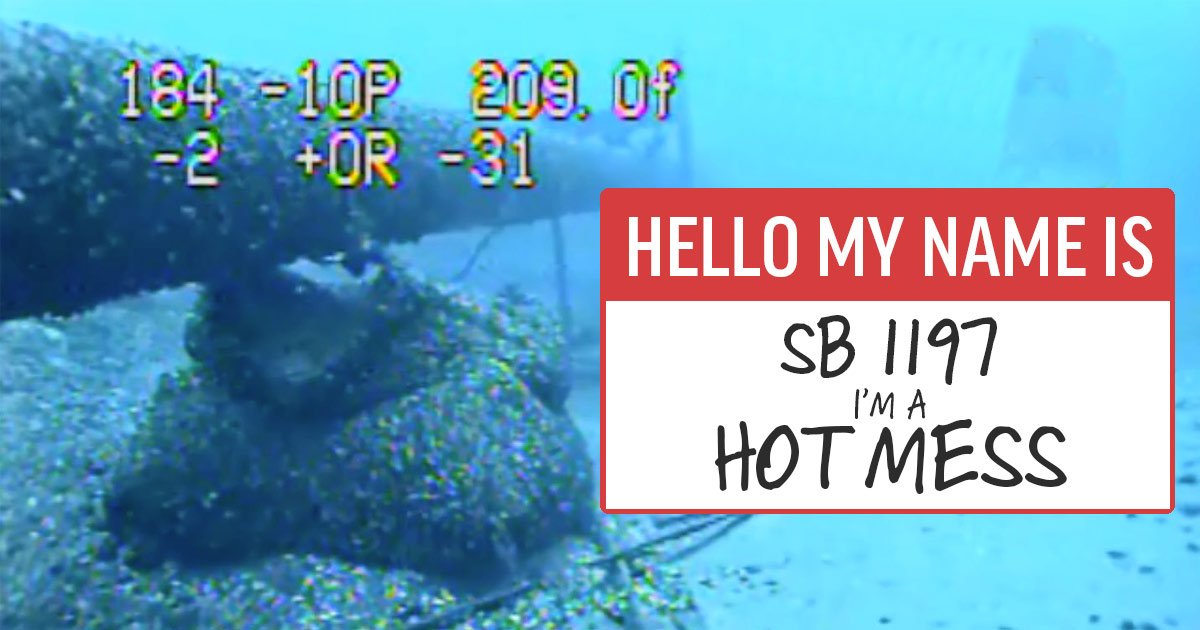 Friends of Mackinac Bridge tweet media